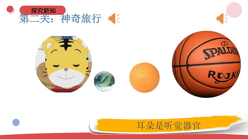 2.4《認識感官》（課件）-2024-2025學(xué)年一年級上冊科學(xué) 蘇教版（2024）第8頁