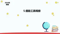 小学科学苏教版(2024)一年级上册(2024)第2单元 用感官观察5 借助工具观察说课ppt课件