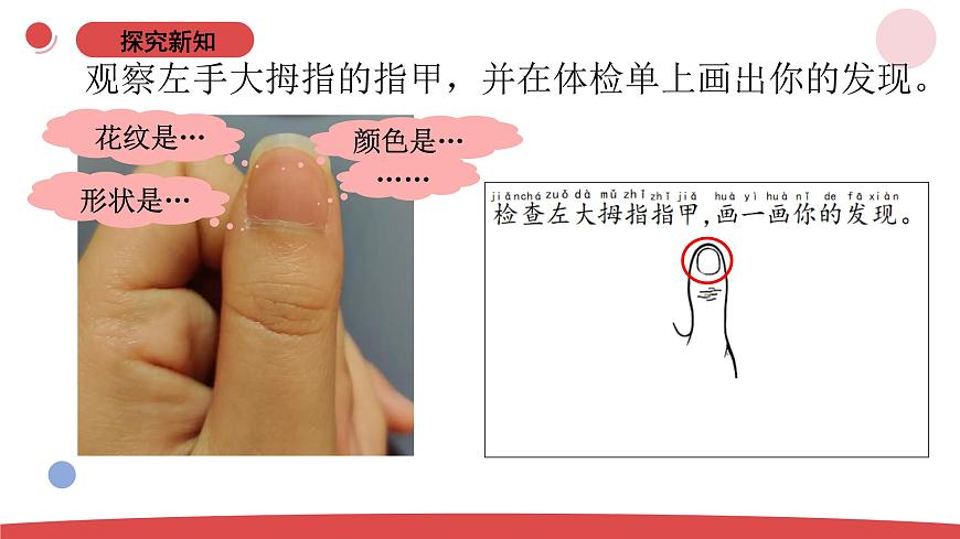 2.5《借助工具觀察》（課件）-2024-2025學(xué)年一年級(jí)上冊(cè)科學(xué) 蘇教版（2024）第6頁(yè)
