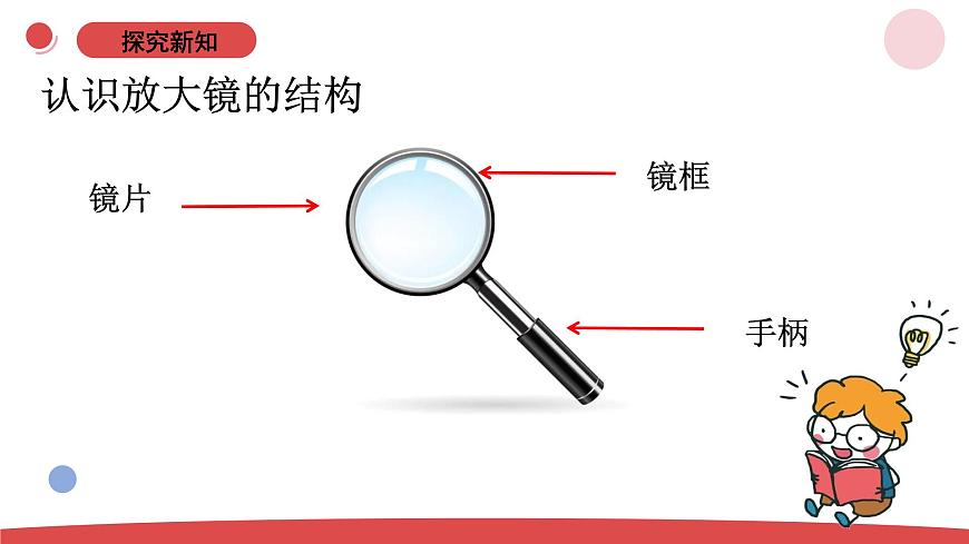 2.5《借助工具觀察》（課件）-2024-2025學(xué)年一年級(jí)上冊(cè)科學(xué) 蘇教版（2024）第7頁(yè)