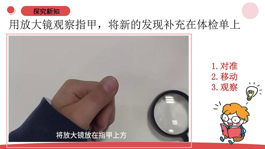 2.5《借助工具觀察》（課件）-2024-2025學(xué)年一年級(jí)上冊(cè)科學(xué) 蘇教版（2024）第8頁(yè)