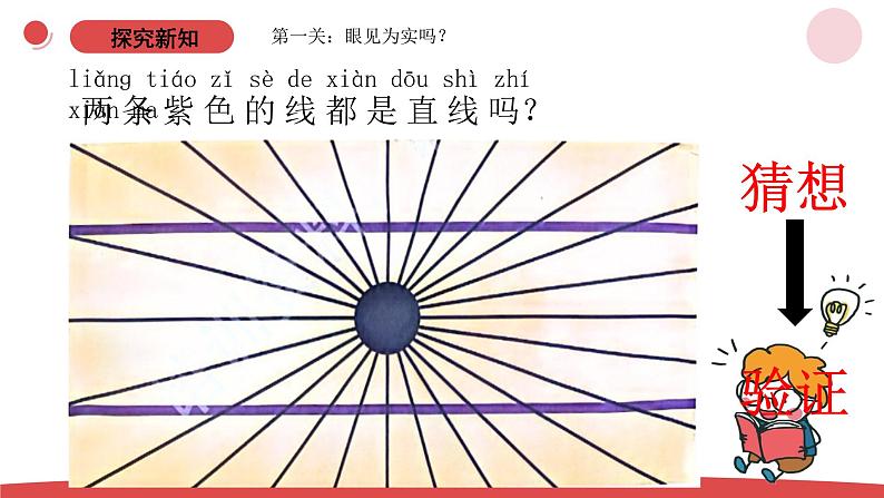 3.8《从猜想到验证》(课件+教案)-2024-2025学年一年级上册科学 苏教版(2024)03