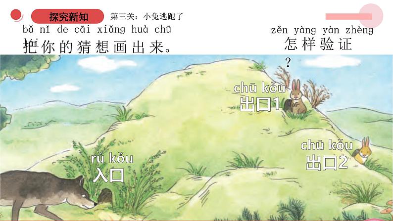 3.8《从猜想到验证》(课件+教案)-2024-2025学年一年级上册科学 苏教版(2024)08