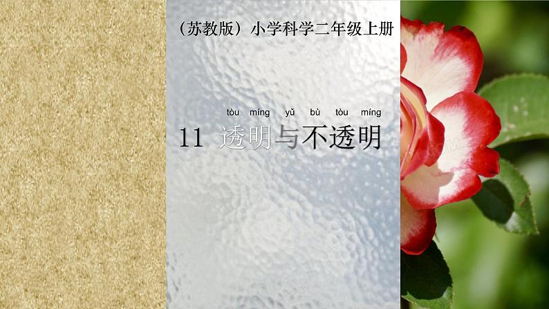苏教版科学二年级上第十一课透明与不透明课件02