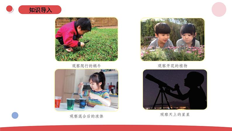小学科学新苏教版一年级上册第一单元第1课《小小科学家》教学课件(2024秋)02