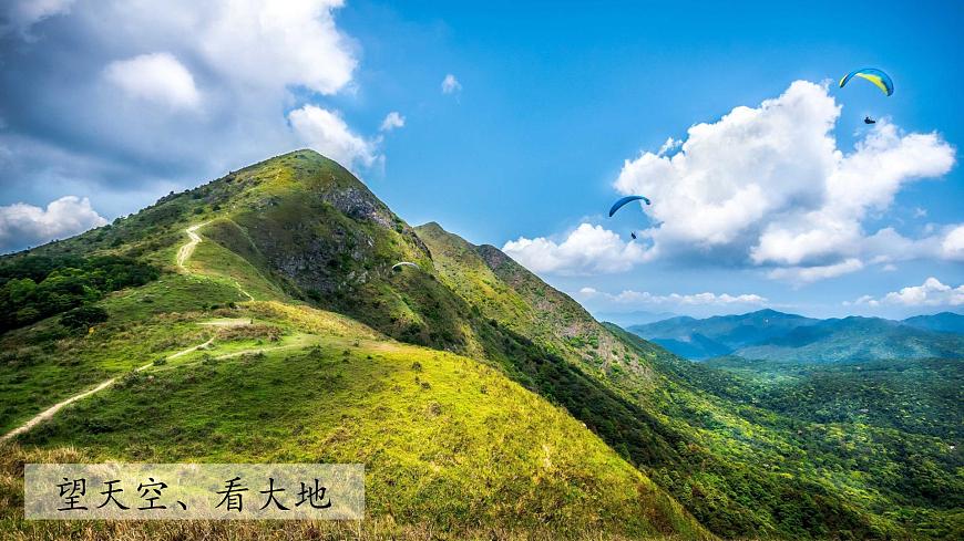 （2024）教科版科學(xué)一年級(jí)上冊(cè)-開學(xué)第一課-科學(xué)家這樣做-屠呦呦PPT課件第4頁(yè)