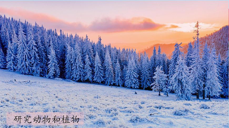 （2024）教科版科學(xué)一年級(jí)上冊(cè)-開學(xué)第一課-科學(xué)家這樣做-屠呦呦PPT課件第7頁(yè)