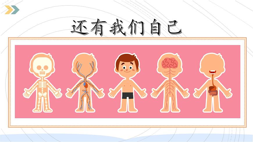（2024）教科版科學(xué)一年級(jí)上冊(cè)-開學(xué)第一課-科學(xué)家這樣做-屠呦呦PPT課件第8頁(yè)