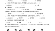 小学科学教科版（2024）一年级上册（2024）3. 游戏中的观察复习练习题