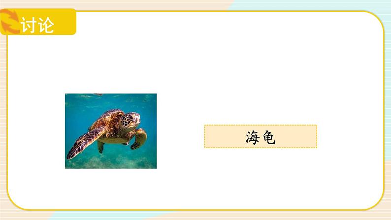 【核心素养】冀人版科学六年级上册19.丰富的海洋资源 同步课件+同步练习+教学设计08