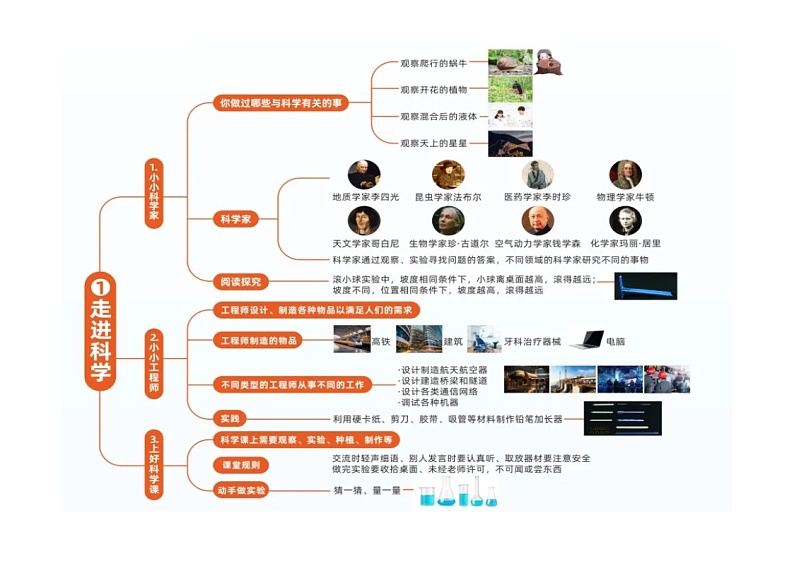 小学科学新苏教版一年级上册全册思维导图(2024秋)01