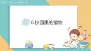 小学科学教科版（2024）一年级上册（2024）6. 校园里的植物教学ppt课件