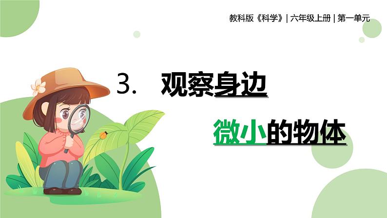 【核心素养】教科版科学六年级上册 1.3 观察身边微小的物体(教学课件+同步教案)01