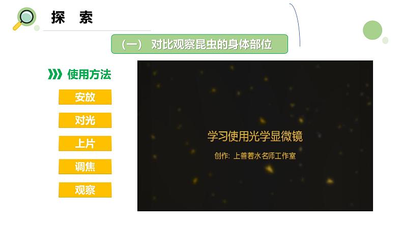 【核心素养】教科版科学六年级上册 1.3 观察身边微小的物体(教学课件+同步教案)05
