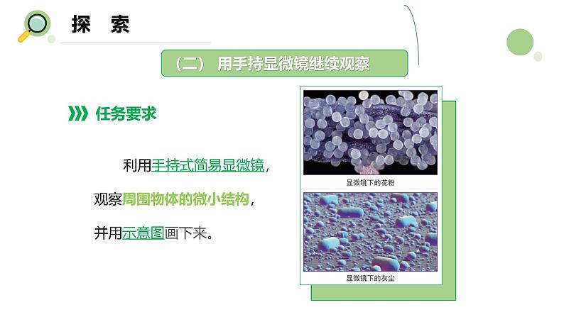 【核心素养】教科版科学六年级上册 1.3 观察身边微小的物体(教学课件+同步教案)07