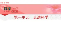 苏教版（2024秋）科学 一年级第一单元《走进科学》单元解析课件