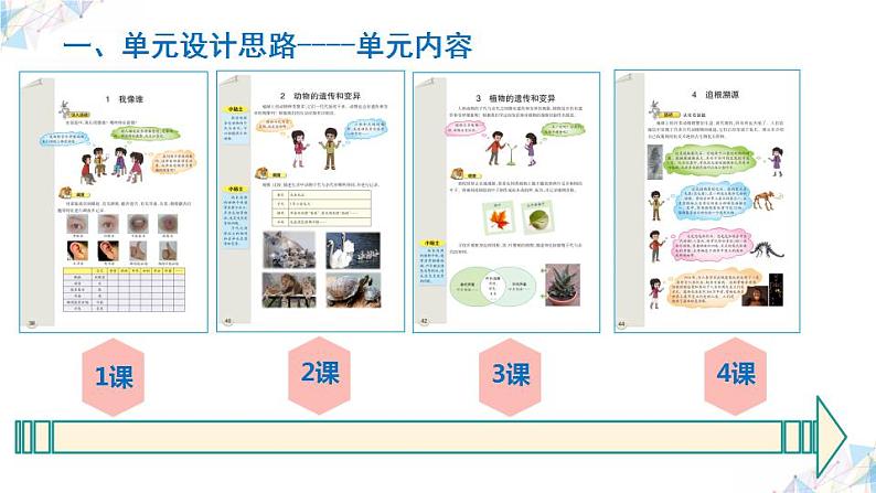 大象版(2017秋) 六年级上册第四单元《遗传与变异》单元教材分析与实施建议(课件)05