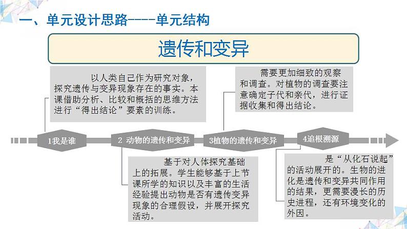 大象版(2017秋) 六年级上册第四单元《遗传与变异》单元教材分析与实施建议(课件)06