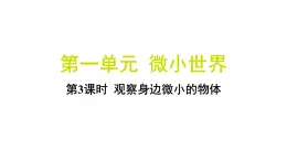 1.3 观察身边微小的物体（习题课件)-2024-2025学年科学六年级上册教科版