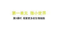 教科版（2024）六年级上册5.观察更多的生物细胞习题课件ppt