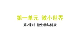 1.7 微生物与健康（习题课件)-2024-2025学年科学六年级上册教科版