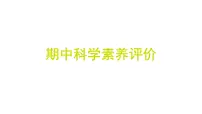 期中科学素养评价（习题课件)-2024-2025学年科学六年级上册教科版