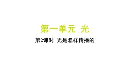 1.2 光是怎样传播的（习题课件)-2024-2025学年科学五年级上册教科版