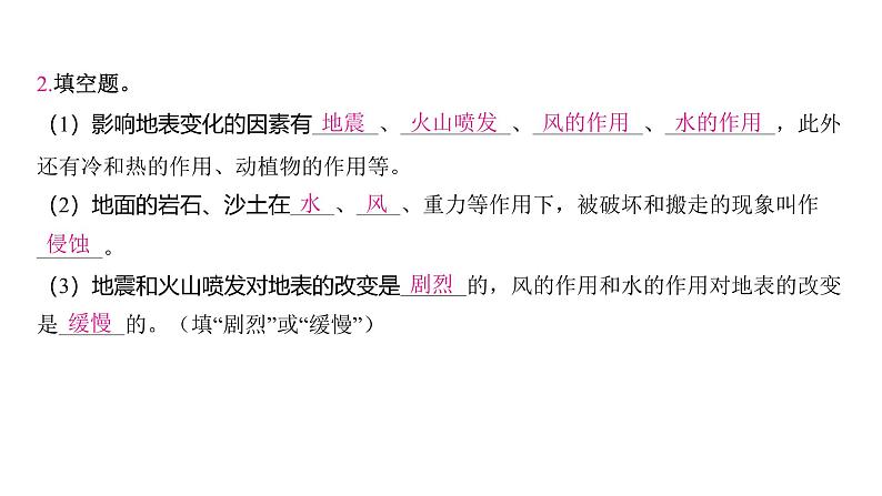 2.7 总结我们的认识(习题课件)-2024-2025学年科学五年级上册教科版05
