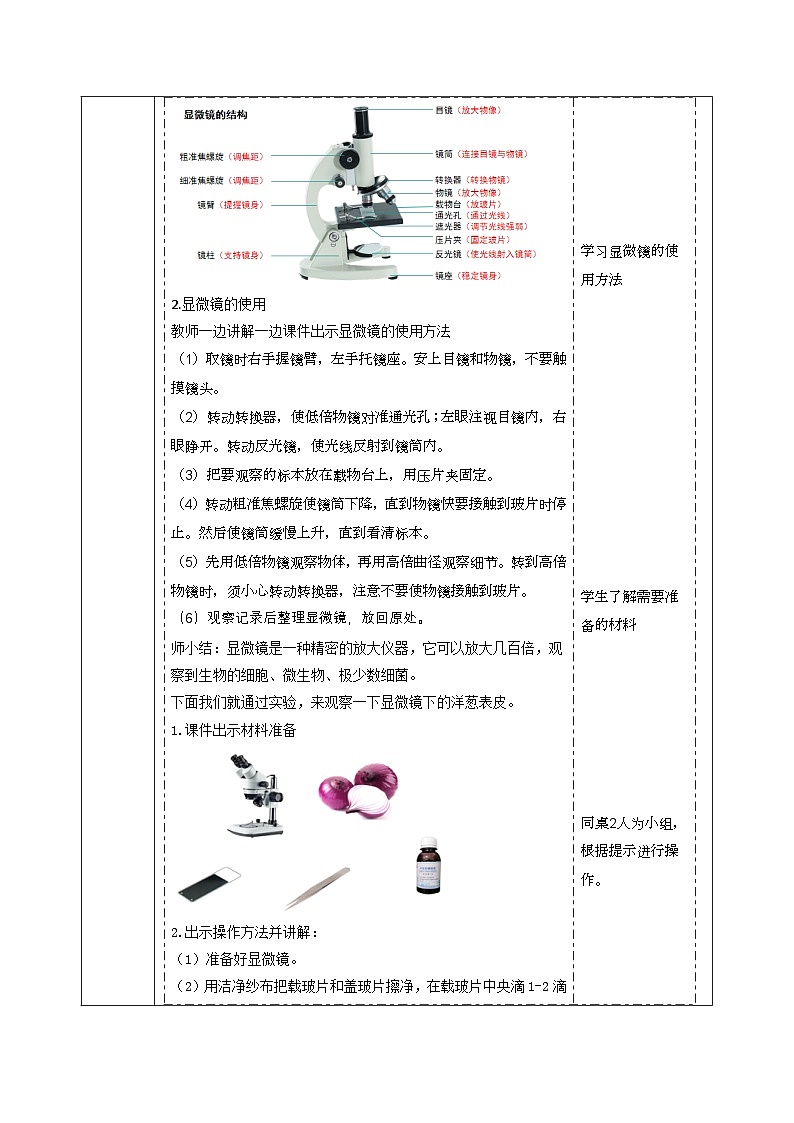 【大单元整体教学】大象版科学六年级上册1.1显微镜下的细胞 单元整体设计+课时课件+课时教案03