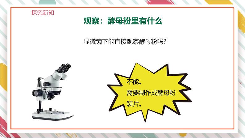 【大单元整体教学】大象版科学六年级上册1.2发面的秘密 单元整体设计+课时课件+课时教案07