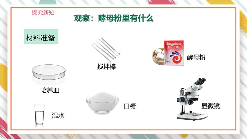 【大单元整体教学】大象版科学六年级上册1.2发面的秘密 单元整体设计+课时课件+课时教案08
