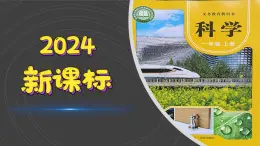 （2024）青岛版科学一年级上册（7）闻和尝PPT课件