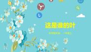 小学科学教科版（2024）一年级上册4.这是谁的叶教学ppt课件
