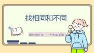 科学一年级上册（2024）2 找相同和不同精品课件ppt
