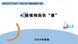 2024新教科版一年级科学上册第一单元1.4《给植物画张“像”》课件