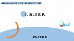 2024新教科版一年级科学上册第二单元2.2《发现生长》课件