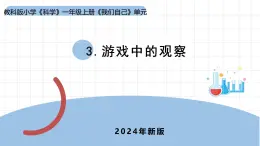 2024新教科版一年级科学上册第二单元2.3《游戏中的观察》课件