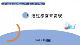 2024新教科版一年级科学上册第二单元2.5《通过感官来发现》课件