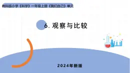 2024新教科版一年级科学上册第二单元2.6《观察与比较》课件