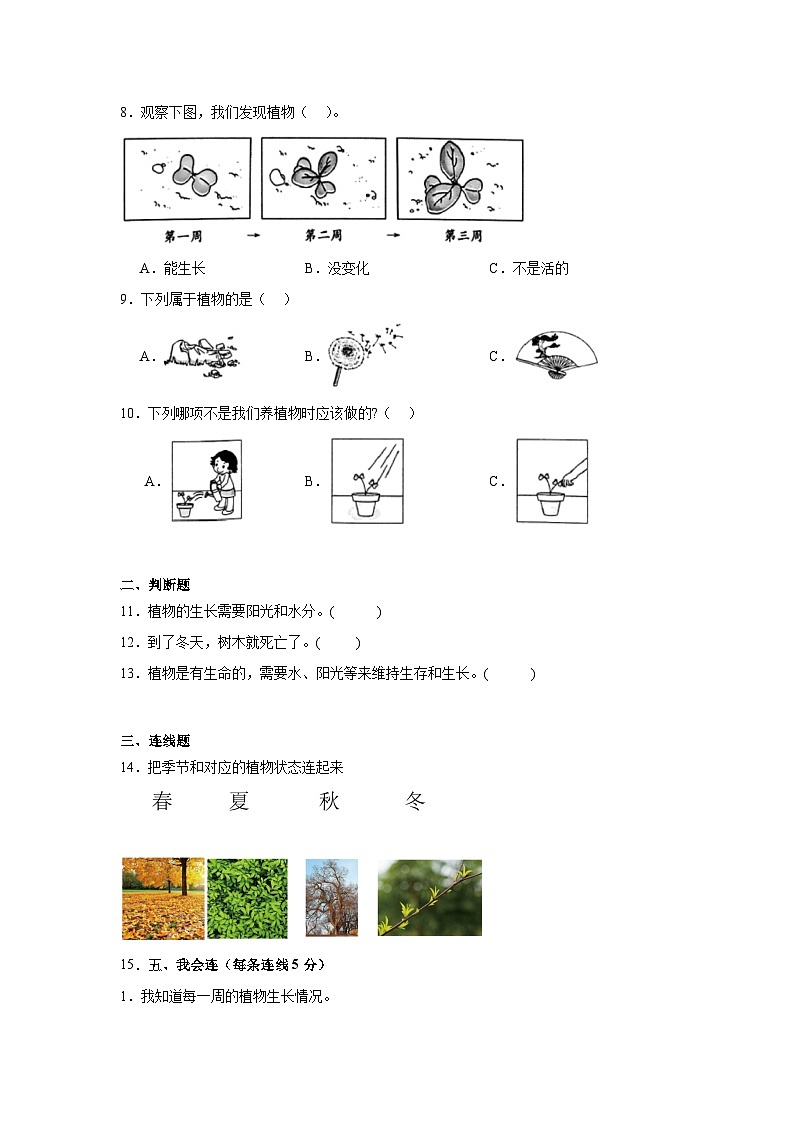 教科版小学科学一上1.5《植物的生长》同步练习第2页