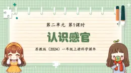 苏教版（2024）一年级上册科学第二单元 第1课时认识感官 课件