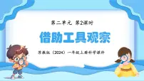 小学科学苏教版(2024)一年级上册(2024)5 借助工具观察评课ppt课件
