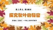 苏教版（2024）一年级上册（2024）9 探究秋叶的秘密图文ppt课件