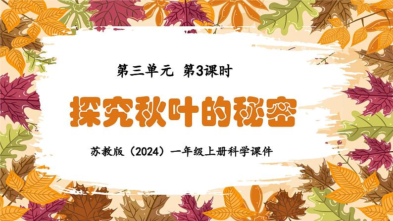 苏教版(2024)一年级上册科学第三单元 第3课时探究秋叶的秘密 课件01