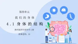 教科版四年级科学上册第四单元《我们的身体-身体的结构》PPT课件