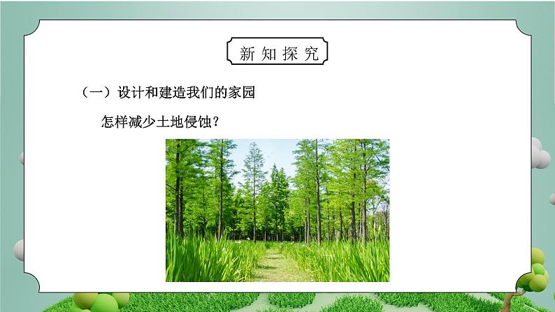 教科版五年级科学上册第三单元《地球表面及其变化-减少对土地的侵蚀》PPT课件第5页