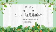教科版（2024）1.我们知道的植物教学ppt课件
