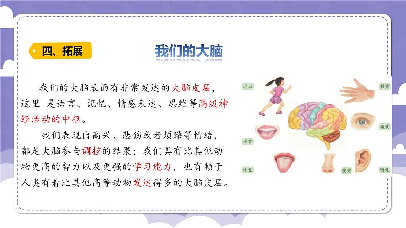3.15 大脑的作用(课件)-2024-2025学年六年级上册科学粤教粤科版第8页