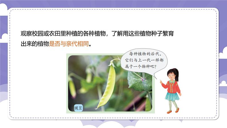 4.17 生物的遗传现象(课件)-2024-2025学年六年级上册科学粤教粤科版第4页