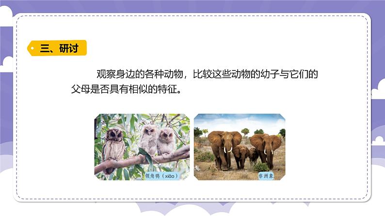 4.17 生物的遗传现象(课件)-2024-2025学年六年级上册科学粤教粤科版第7页